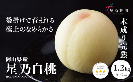 【ふるなびWEEK対象】先行受付【星乃白桃】岡山県の桃園からお届けする三つ星の桃 1.2kg (4～5玉)　FN-Limited-WE【配送不可地域：離島・北海道・沖縄県】【1614276】