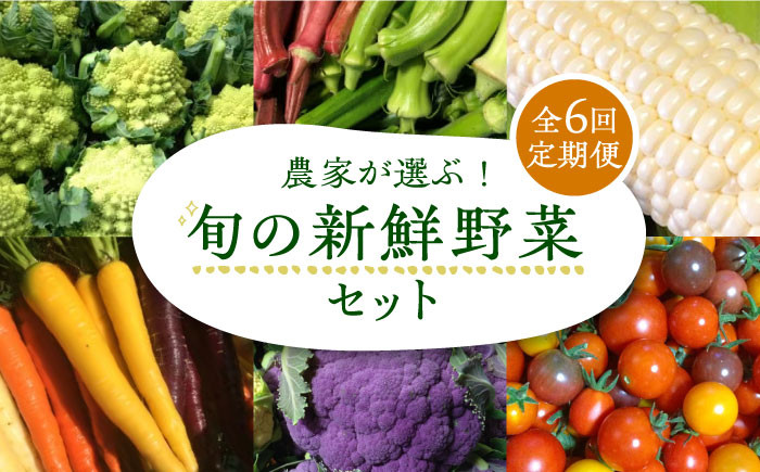 
                  【全6回定期便】農家が選ぶ！ 旬の新鮮野菜セット《豊前市》【田村農産】[VBE009] 野菜 やさい 野菜詰合せ やさいセット 定期 詰め合わせ セット 国産 福岡県 産直 定期便
                