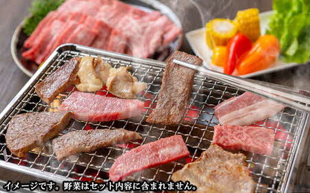 しまね和牛 焼肉満腹セット 1.3kg ／ 食べ比べ 焼肉用 霜降り 柔らか 牛肉 肉 島根 和牛 ブランド