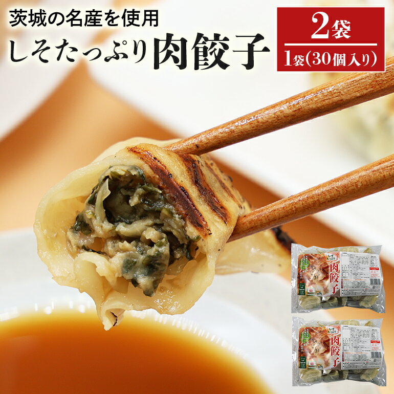 【ふるさと納税】【数量限定】 しそたっぷり肉餃子 2袋 肉餃子30個×2袋 60個 ぎょうざ ギョウザ 餃子 しそ シソ ローズポーク 豚肉 小美玉産 茨城県産 名産 冷凍 17-AN