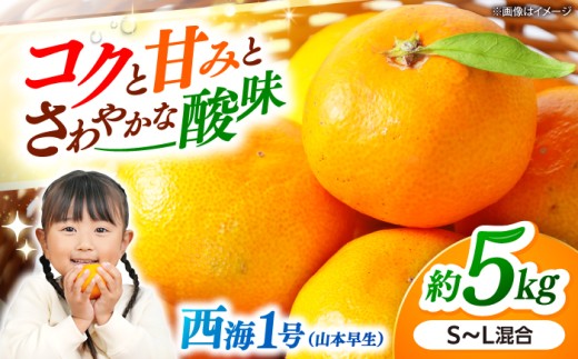 みかん ドーム特選 【11月上旬より発送予定】西海1号（山本早生）みかん 約5kg＜道の駅さいかい みかんドーム＞ [CAI038]  長崎 西海 みかん 蜜柑 ミカン 柑橘 高糖度 温州みかん 果物 フルーツ 贈答 ギフト
