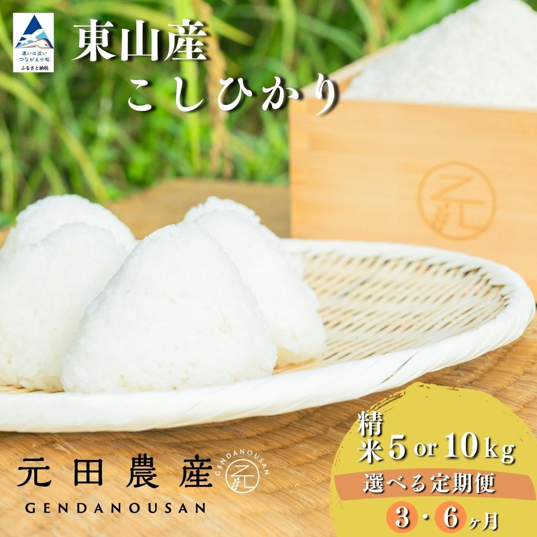 【ふるさと納税】【定期便】令和7年産 コシヒカリ 精米 選べる 5kg×3ヶ月 / 5kg×6ヶ月 / 10kg×3ヶ月 / 10kg×6ヶ月（毎月） お米 白米 こしひかり｜石川県 小松市 050047【元田農産】