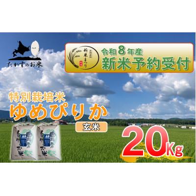 ふるさと納税 鷹栖町 【令和八年産新米予約】たかすのお米「特別栽培米 ゆめぴりか」20kg(玄米)
