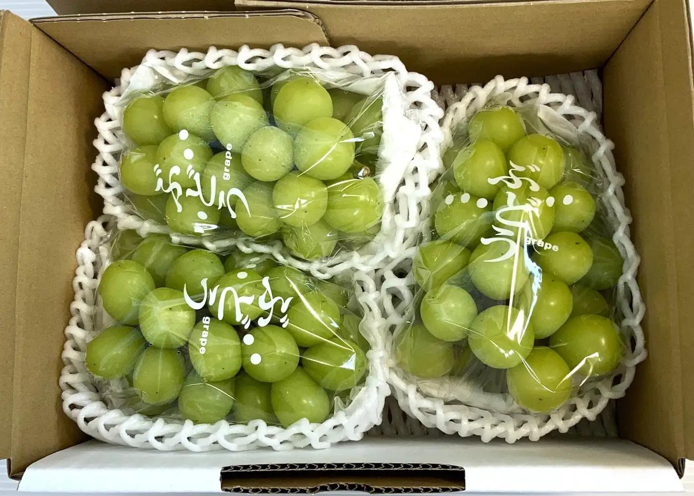 ぶどう（シャインマスカット）１.６ｋｇ　0009-2608