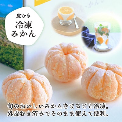 【発送月固定定期便】愛媛みかん＆冷凍みかん ミヤモトオレンジガーデン全2回【E25−161】【配送不可地域：離島・北海道・沖縄県】【4013522】