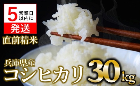 【コシヒカリ】令和7年産 白米30kg【5営業日以内に発送】