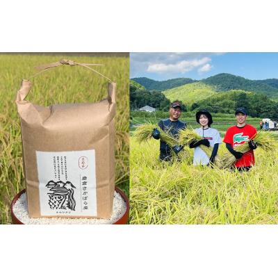 ふるさと納税 京都市 【京都岩倉坂原米作りプロジェクト】京都さかばら 角質ケアハンドクリーム(60g×1本)|美容 コスメ |  | 02