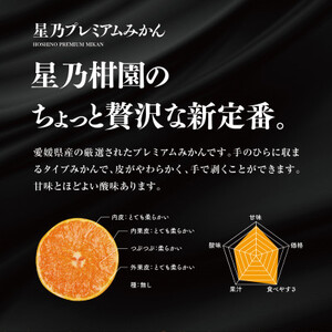 【三つ星ブランド】星乃みかんプレミアムシリーズ(5kg)【C45-84】【1454778】