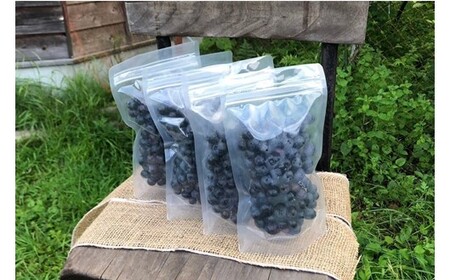 【季節限定】農薬・化学肥料不使用！愛情と栄養たっぷり冷凍ブルーベリー（1kg） 南小国産 冷凍 ブルーベリー 1kg 摘み立て 生 果物 新鮮 フレッシュ 小分け 農薬不使用 化学肥料不使用 産地直送
