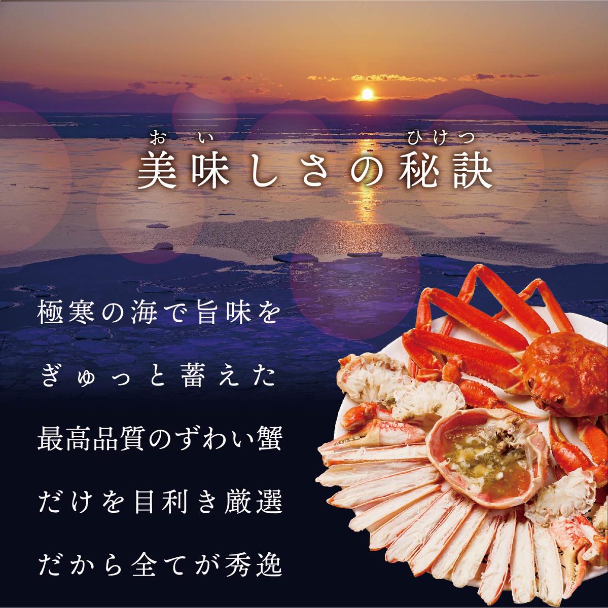 訳ありズワイ蟹 2尾（計1.4kg）【SS000HZ01】