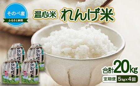 【定期便】れんげ米5kg×4回 お米 合計20kg 令和7年度産 お米