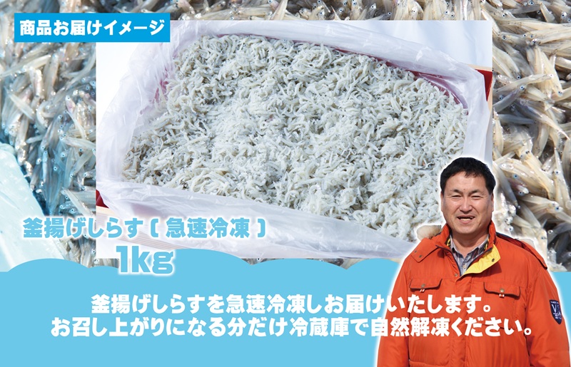 減塩 釜揚げしらす 1kg 015B388