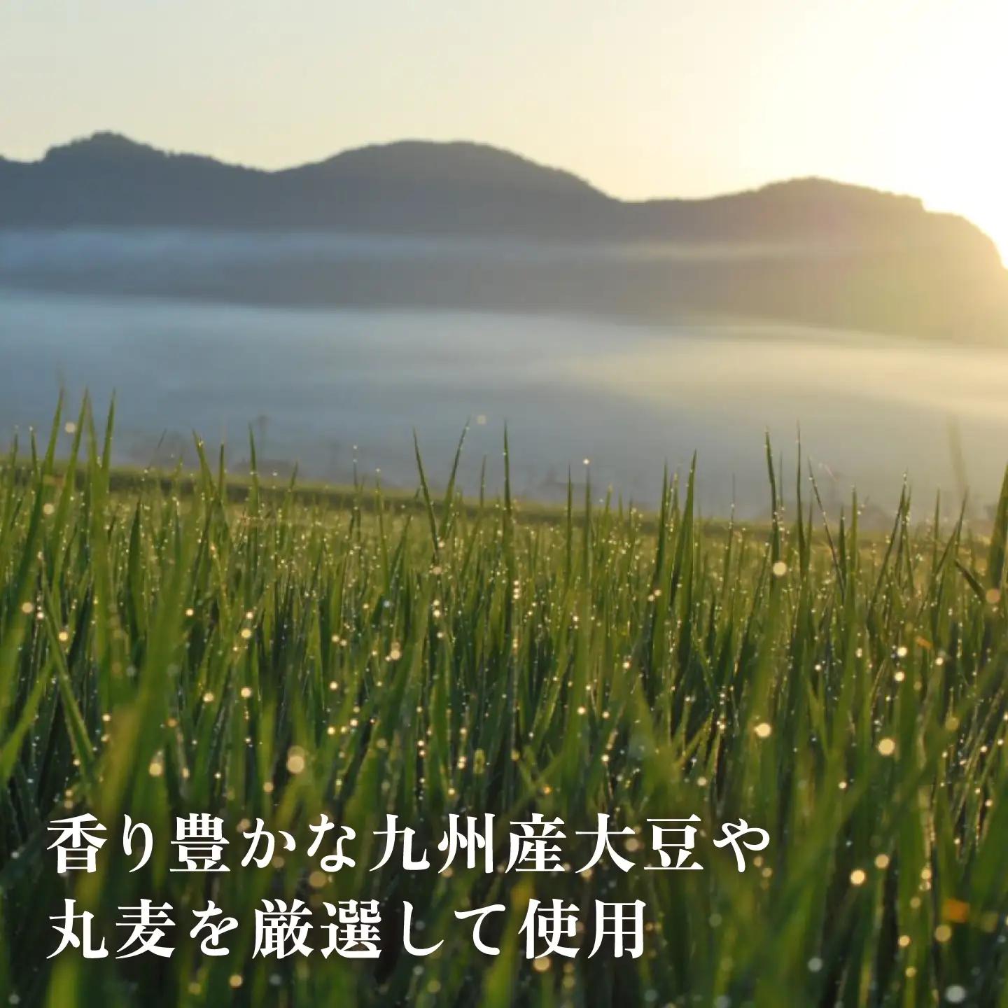 【12回定期便】無添加 国産 蒸し 大豆 麦つぶ味噌（600g×3）【有限会社 木屋食品工業】国産味噌 みそ [ZAD035]