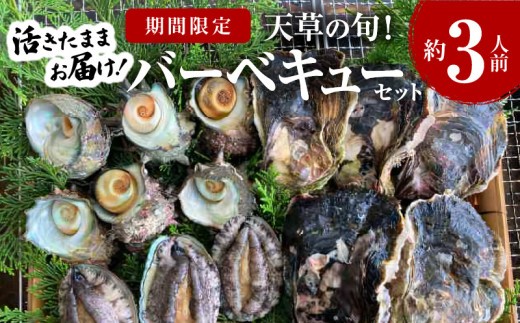 S002-020A_【期間限定・先行受付】天草の旬！バーベキューセット　約3人前