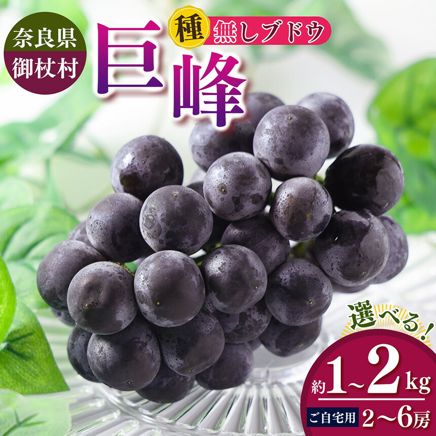 【ふるさと納税】【 ご自宅用 】奈良みつえの たねなし巨峰 選べるサイズ 1kg / 2kg | ぶどう 巨峰 フルーツ 果物 たねなし 種無 冷蔵 甘い 手土産 数量限定 期間限定 2026年発送 先行予約 1kg 2kg 奈良県 御杖村 みつえむら