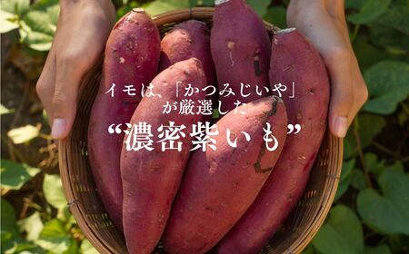 《10月中旬以降順次発送》農家直送！とろける濃密紫いも5kg 野菜 芋 いも 紫いも むらさきいも お芋 5キロ 5kg 人気 名産 ねっとり 甘い 甘味 国産 産地直送 おすすめ お中元 お歳暮 ギ