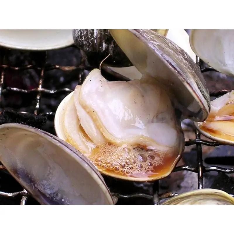 【はまぐり】畜養活蛤 1kg ハマグリ