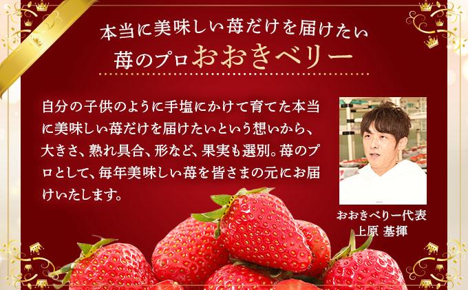 自然環境農法 福岡県産 冷凍あまおう 2kg|苺 いちご イチゴ 完熟 あかい まるい おおきい うまい フルーツ 果物 デザート 期間限定 産地直送 冷蔵 お取り寄せ グルメ 送料無料 福岡県 那珂川市