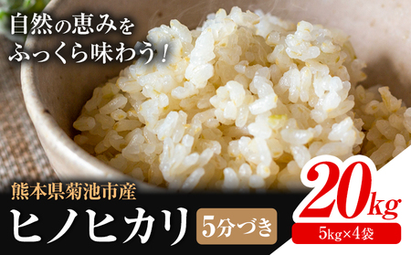 熊本県菊池産 ヒノヒカリ 5kg×4袋 計20kg 5分づき米 お米 分づき米《30日以内に出荷予定（土日祝除く）》