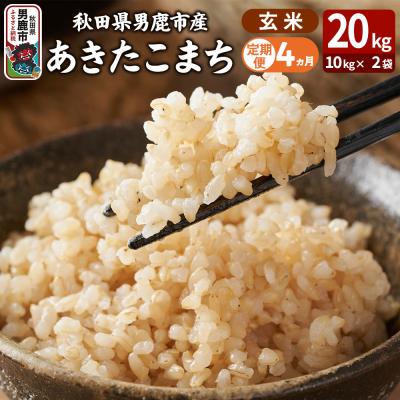 ふるさと納税 男鹿市 定期便4ヶ月 あきたこまち 玄米 20kg|23_ysu-222004b