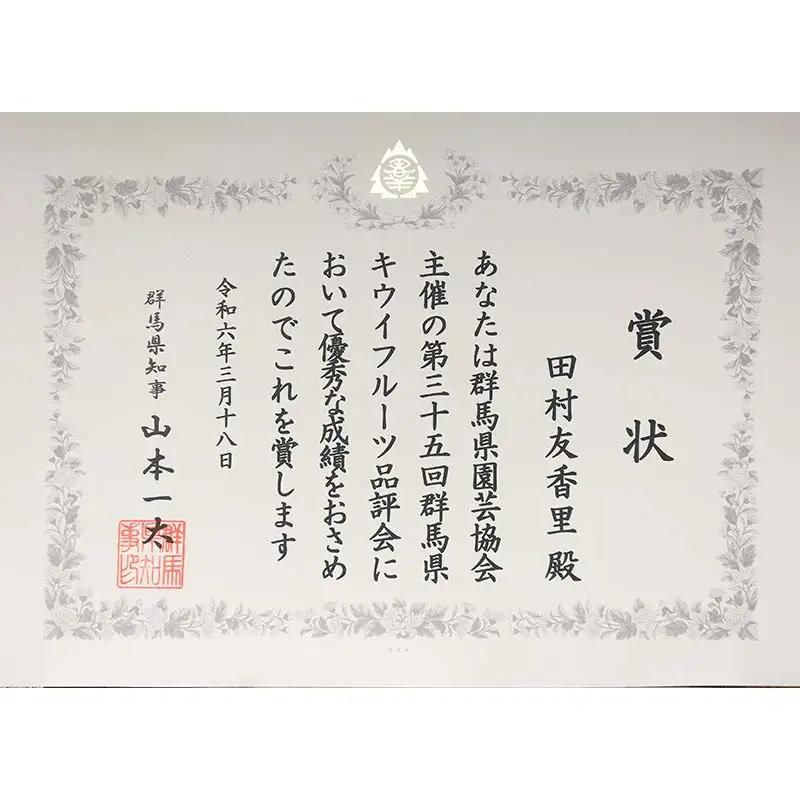 ＜先行予約＞【3年連続受賞】「A品数量限定」下仁田町産キウイフルーツ約3.6kg（1玉Lサイズ115g以上） キウイ フルーツ キウイ デザート 果物 贈答品としても人気！ F21K-448