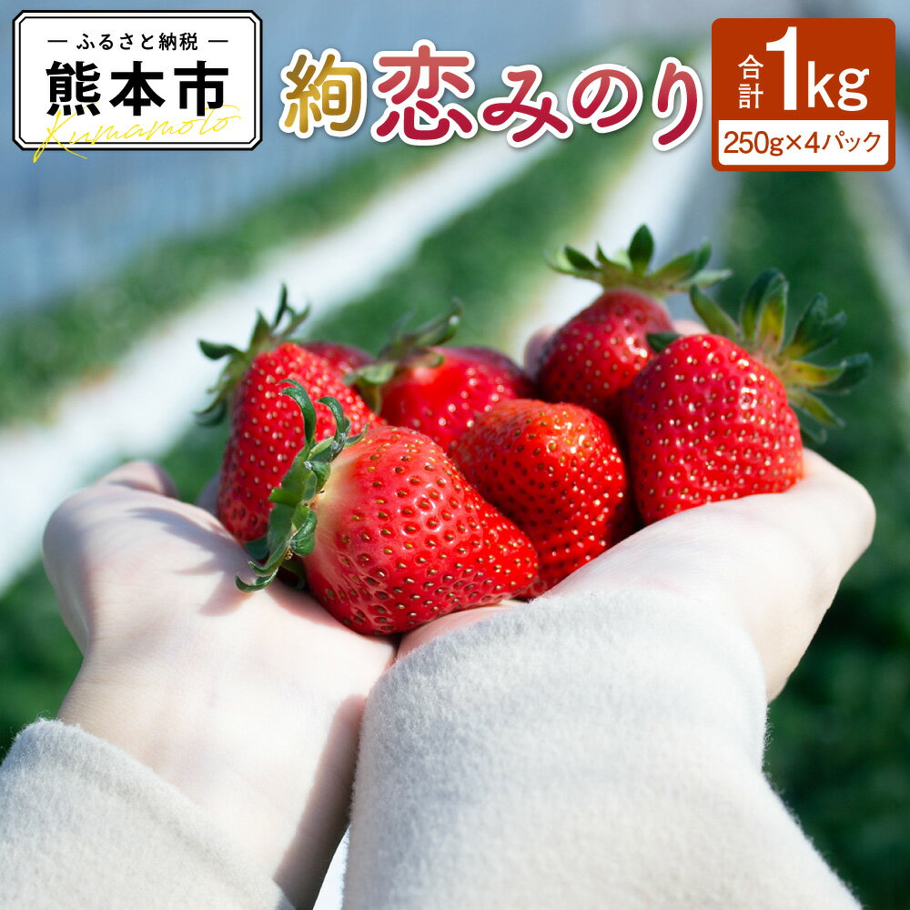 【ふるさと納税】 絢音ベリー 農園 "絢" 恋みのり いちご 約1kg （約250g×4パック）くだもの 果物 苺 イチゴ こいみのり ストロベリー ギフト 厳選 希少 熊本 熊本県産 国産 送料無料【先行予約】【2025年12月上旬～2026年4月下旬迄順次発送予定】