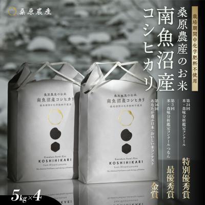 ふるさと納税 南魚沼市 R7年産　予約 最優秀賞受賞【8割減農薬米】南魚沼産コシヒカリ5kg×4　桑原農産のお米