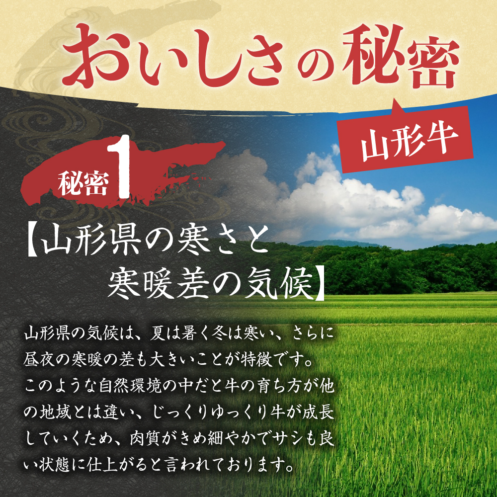【数量限定】山形牛 最高級 プレミアム3ヶ月定期便　～贈るのは【最高ランク】5等級のみ！～