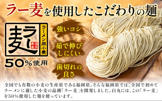 ラーメン 一風堂 白丸 ラー麦麺 セット 12食 地域商社ふるさぽ《90日以内に出荷予定(土日祝除く)》福岡県 鞍手町 ラーメン とんこつ 豚骨スープ 豚骨ラーメン ラー麦 麺