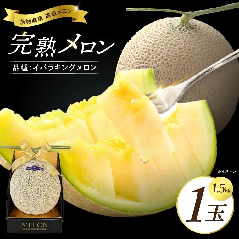 完熟 メロン イバラキング 1玉 │ 1.5kg フルーツ 産地直送 高級 贈答用 （CK001）