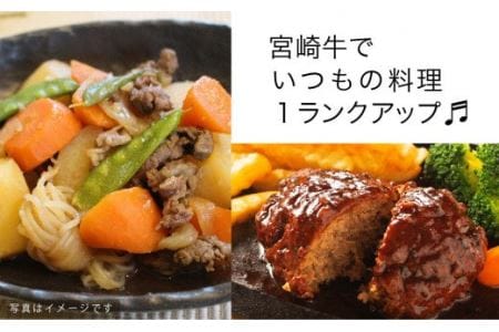 宮崎牛 こま肉とミンチのセット 1kg【肉 牛肉 国産 黒毛和牛 肉質等級4等級以上 4等級 5等級 牛挽肉 牛小間】