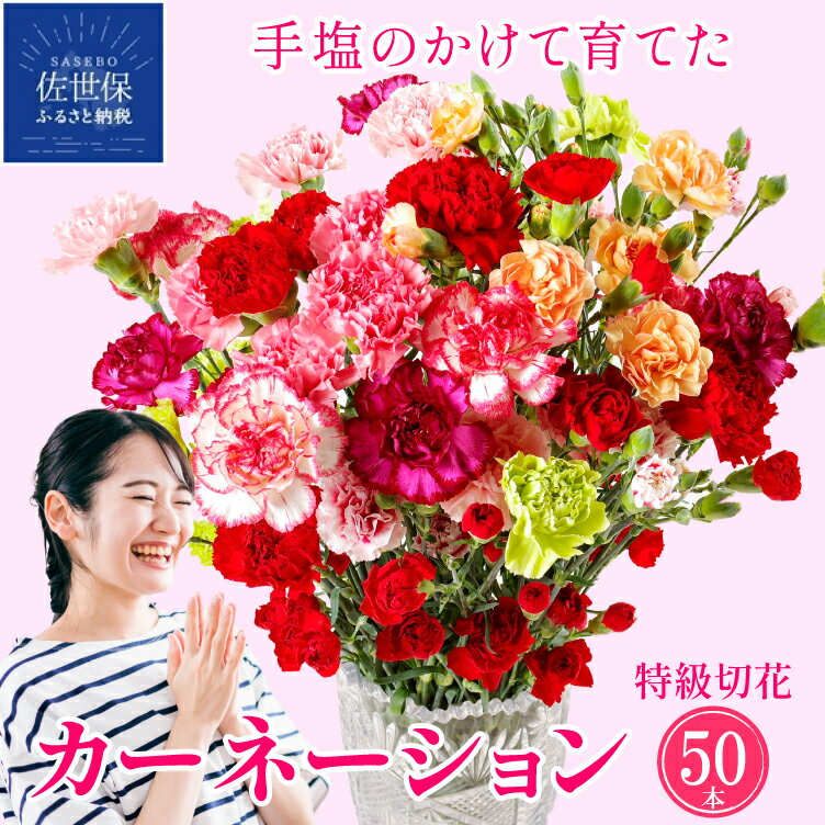 【ふるさと納税】カーネーション 鮮度が自慢 佐世保 産地直送 高級 茎丈 65cm 切り花 50本 箱詰め 花農家直送 花もち 誕生日 誕生日 記念日 出産祝い プレゼント ギフト