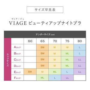 ブラジャー VIAGE ビューティアップ ナイトブラ 選べる サイズ カラー ブラ 単品 育乳 バストアップ M・クールグレー×グレー