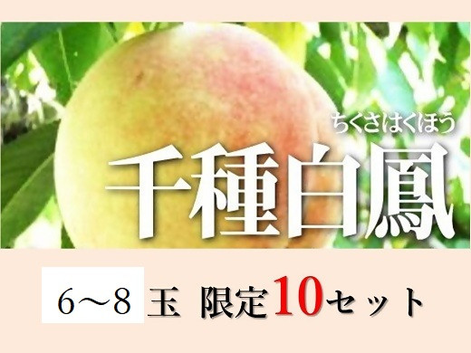 
            Cz-18　千種白鳳（6～8個・約2.0kg）化粧箱入り
          