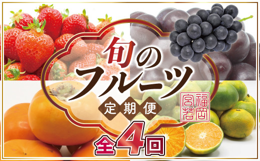 【定期便】宮若市旬のフルーツ定期便 (年4回) [M763] ブランド いちご ぶどう みかん 柿 大人気 NO1 限定品 高級 フルーツ 果物 くだもの 特別 冷蔵 プレゼント 九州 福岡 宮若市 ふるさと納税 おすすめ 送料無料
