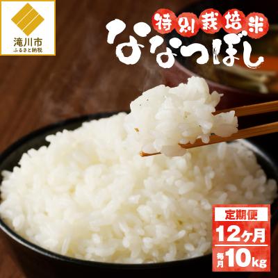 ふるさと納税 滝川市 《令和7年産》特別栽培米ななつぼし 10kg×12ヵ月定期便 特A 減農薬 白米 北海道滝川市