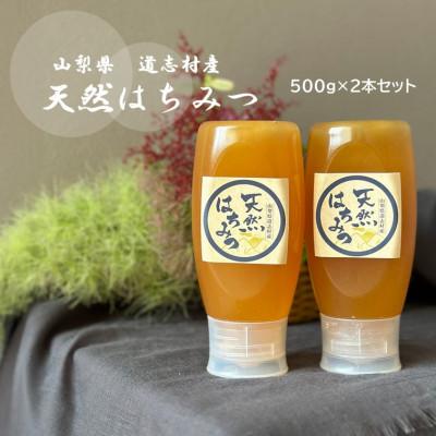 ふるさと納税 道志村 道志村産　天然はちみつ(ボトルタイプ)500g×2本