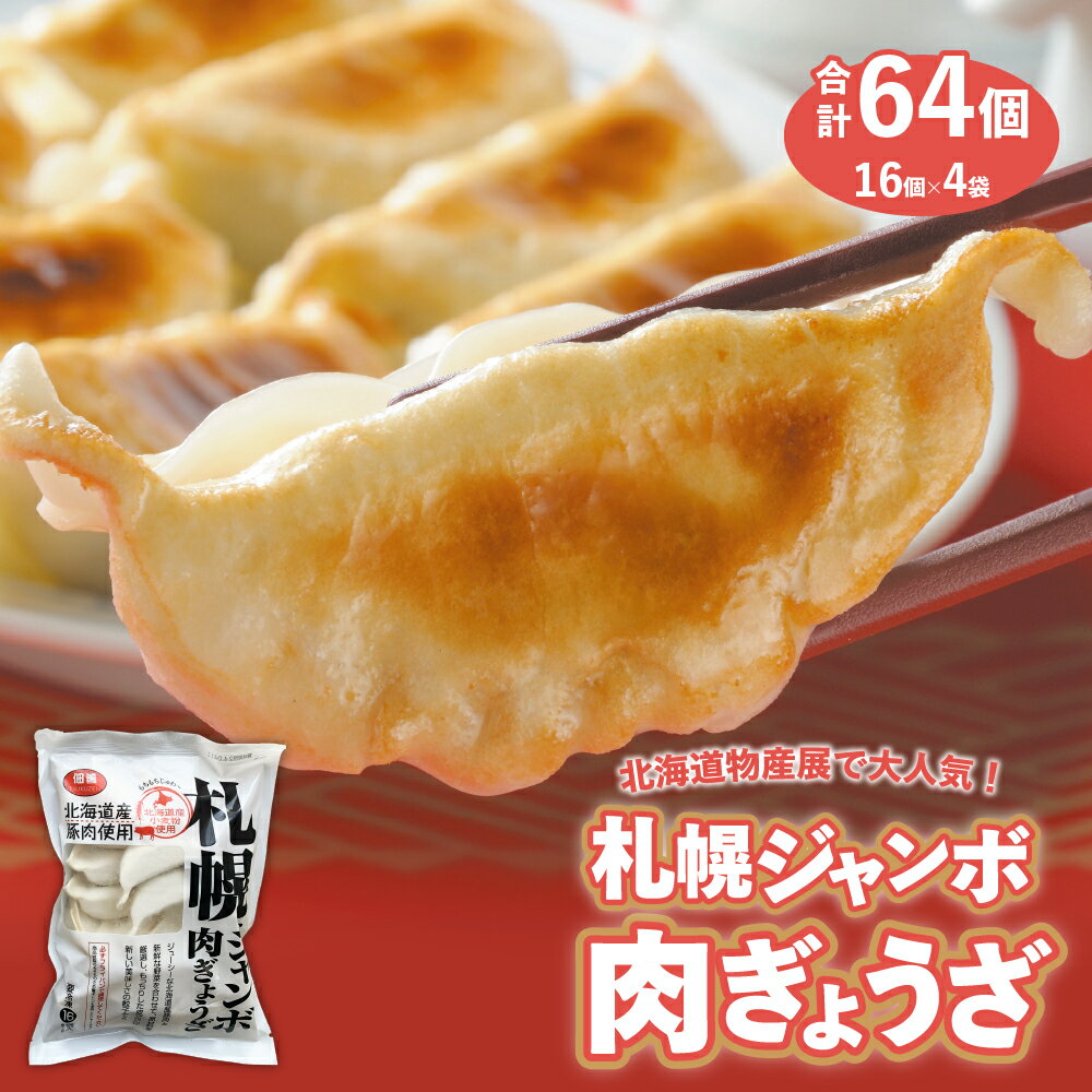 【ふるさと納税】 ★物産展で人気★ 計64個 札幌 ジャンボ 肉ぎょうざ 簡単 お手軽 絶品 16個入り 4袋 セット おかず 晩ごはん 弁当 惣菜 晩酌 お取り寄せ 冷凍 佃善 北海道 札幌市