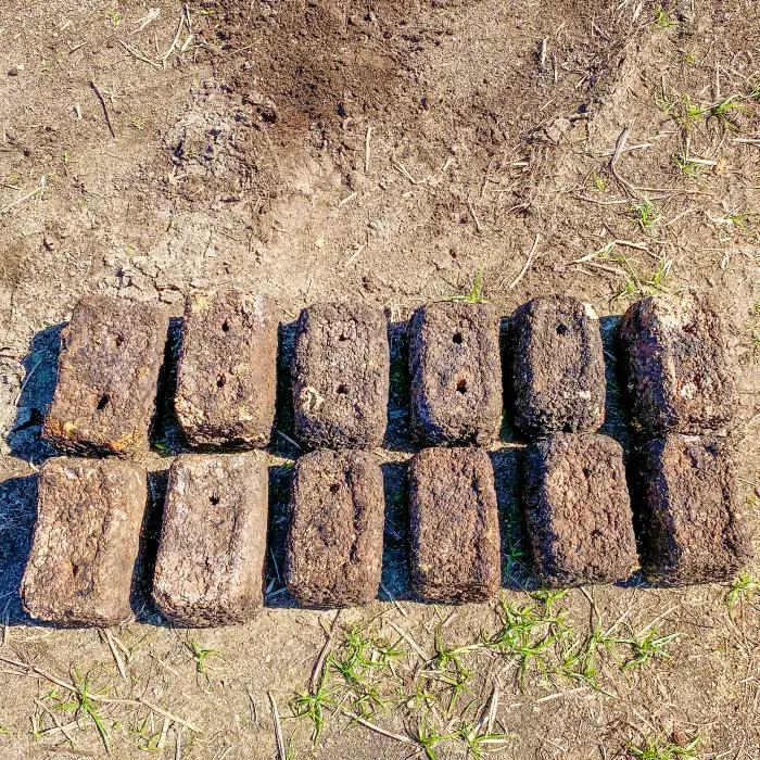 家庭菜園やカブトムシ・クワガタムシのマットに。廃菌床12個入り【サステナブル 家庭菜園 土壌 再利用 廃菌床】