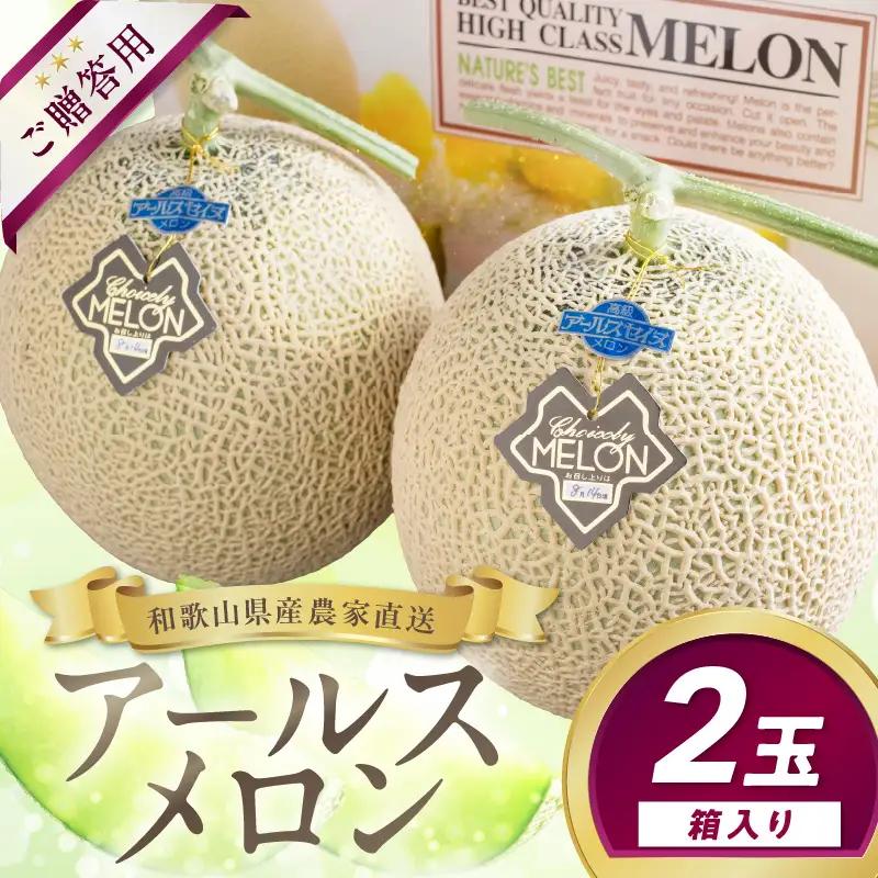 和歌山県御坊市産 アールスメロン 2玉≪先行予約 ≫ フルーツ メロン【0262-5】