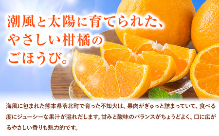 【先行予約】 みかん 不知火 3kg 高橋商店《2026年1月下旬-5月中旬頃出荷》熊本県 苓北町 柑橘 かんきつ 果物 フルーツ しらぬい 送料無料