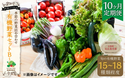 
【有機JAS認定】【10ヶ月定期便】 季節の野菜詰め合わせ ～有機野菜セットB～
