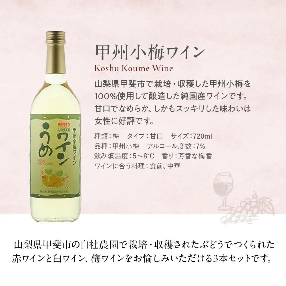 【敷島 赤 ＆ 敷島 白 & 甲州小梅ワイン】720ml × 3本 セット 敷島醸造 白ワイン 赤ワイン わいん 小梅ワイン 辛口 ワインセット 飲み比べ 日本ワイン 国産ワイン 甲州 山梨 甲斐市 