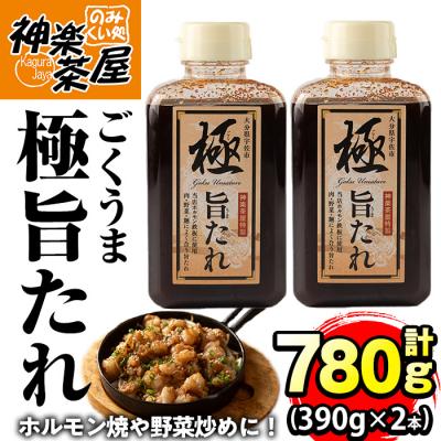 ふるさと納税 宇佐市 極旨たれ(計780g・390g×2本)【111100102】【かぐら】