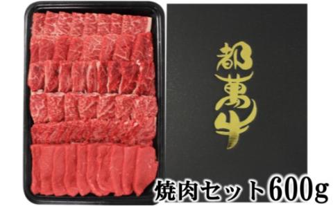 黒毛和牛『都萬牛』　焼肉セット600g<2-24>