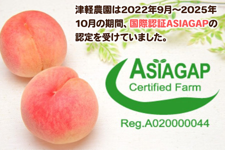 【あふれる果汁 まどか】特秀 約3kg 8～14玉程度 　ASIAGAP認証農場 津軽農園 採れたて 農家直送