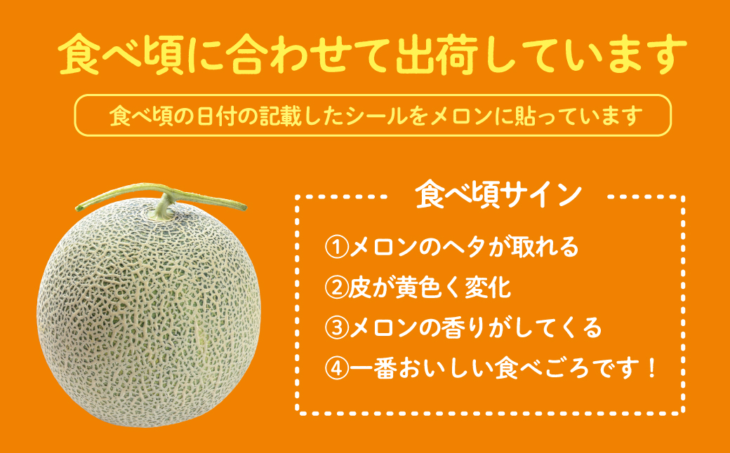【先行予約】【定期便2回】赤肉メロン2玉＋小玉スイカ2玉 旬のフルーツ定期便<7月下旬・8月上旬お届け> SBTN011