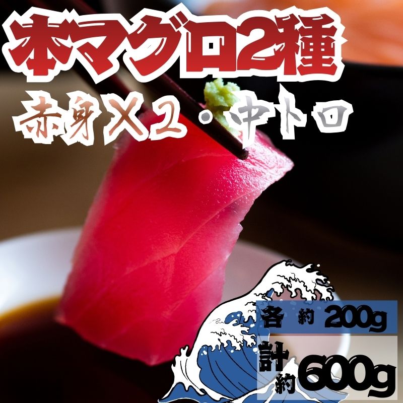 【ふるさと納税】【出荷時期：9月上旬〜】本マグロ 赤身 2柵 中トロ 1柵 セット 国産 本鮪 まぐろ マグロ クロマグロ 鮪 刺身 丼ぶり 寿司 海鮮 魚介 贅沢 お取り寄せ 詰め合わせ グルメ 産地直送 送料無料 冷凍 道の駅