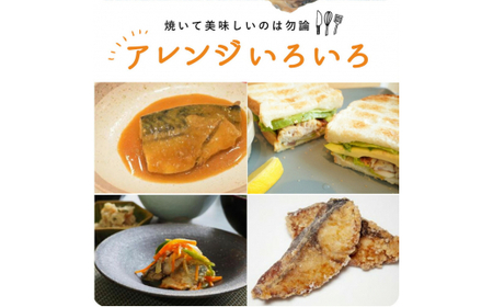 定期便【全3回/毎月お届け】大容量！ ご家庭用 塩さばフィレをたっぷりお届け定期便 / さば サバ 鯖 フィレ 切り身 切身 魚 海鮮 焼き魚 おかず 定期便【tkb354】