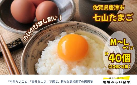 
            七山たまご20個箱×2(計40個)(M~Lサイズ相当)
          